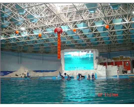 灵武游泳馆螺栓球网架